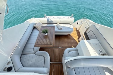 salon inferior targa 37