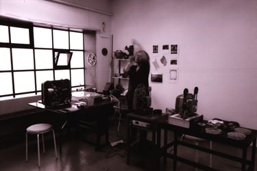 Temple Bar Gallery and Studios (TBG+S), Dublin in 2016