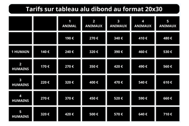 tarifs iris animaux Bordeaux