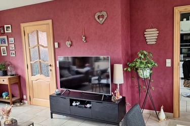 Espace salon avant transformation avec un meuble TV, une plante et une porte avec un mur bordeaux