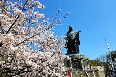 Buda en el templo, Fukuoka, durante el sakura.