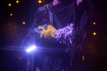 Cabaret Astral_Capricornio