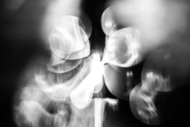 fotografia ficcional en blanco y negro de organismo sutil de luz