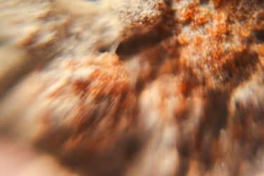 fotografia borrosa de moho sobre alimento