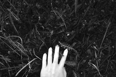 la mano de una persona tocando hierba