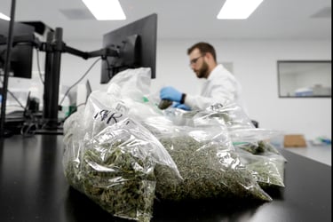 Cannabis safety ensured through lab testing and transparent COA reports