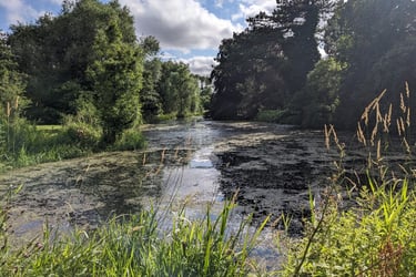 An aquatic investigation case study - project partner