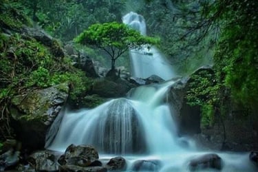 Aliran deras Curug Ciherang di tengah tebing batu, berdekatan dengan fasilitas rekreasi dan jembatan rumah pohon, destinasi w