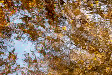 Eau et lumière Les Cevennes
