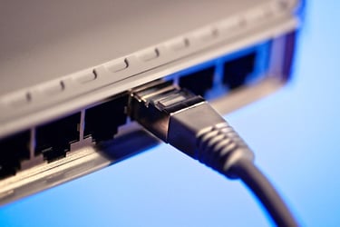 A network cable connected to a switch