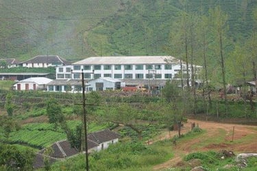 Coffee estate for sale in Chikkamagaluru