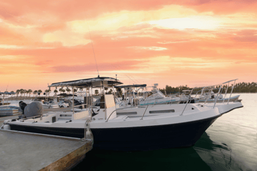 a boat docked at a dock with a man standing next to it