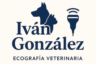 Logotipo de Iván González:siluetas de perro, gato y sonda ecográfica con texto Ecografía Veterinaria