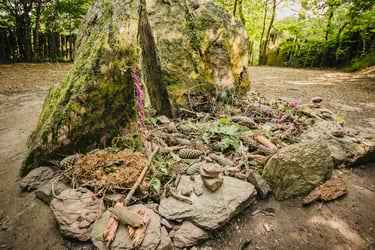 tombeau de merlin foret de broceliande
