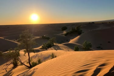 View across Sahara desert dune field at sunset with golden light over the sand