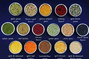 a variety of different types of pulses and beans in bowls