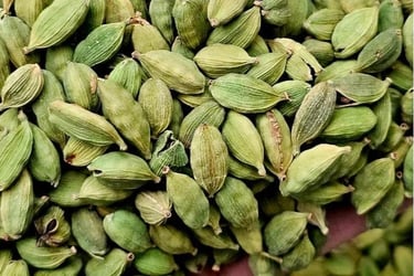 a person holding a handful of green cardamoa seeds