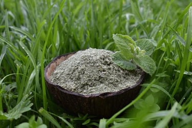 a bowl of mint powder with the mint