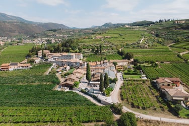 panoramica Valentina Cubi per MyVinapp