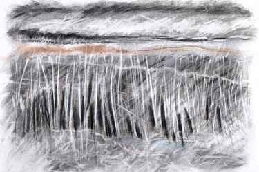Paysage imaginaire 040625 - Fusain et carré comté sur papier - 65X50 - 2025