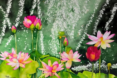 Lotus flowers in glowing pink, magenta and soft white amid greens with sparkling water droplets