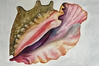 Stylized treasured shell with flowing curved gradient of rose, coral and lavender and an earthy back