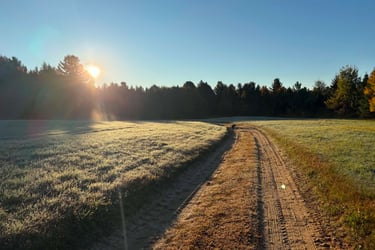 Soleil levant sur sur la praire avec bordure boisée 
