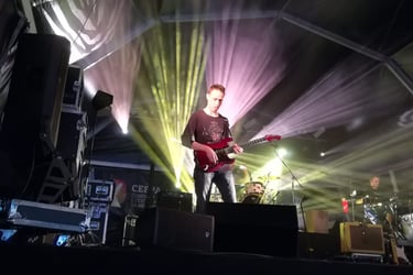 pedro murino almeida guitarist composer