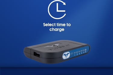 Charging Device | Bluebat BB101 for optimum charging. Timed and delayed charge with heat sensor