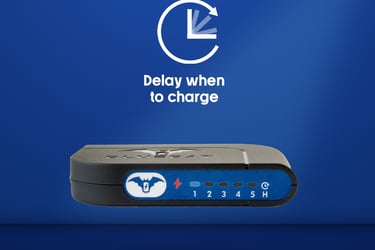 Charging Device | Bluebat BB101 for optimum charging. Timed and delayed charge with heat sensor