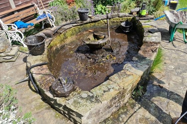 fish pond garden, garden fish ponds clean