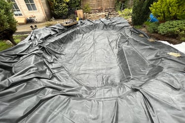 garden pond makeover