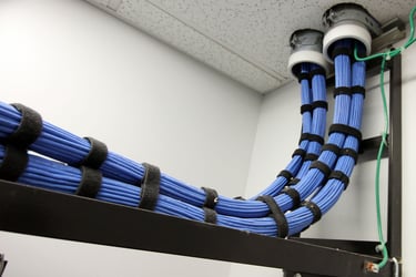 Neatly bundled blue trunk cables routed through a white ceiling tile.