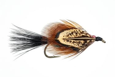 Mrs Simpson trout fly featuring pheasant flank feathers on a white background, labelled Trout Flies