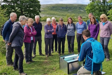 people looking at a moth trap being opened as part of a sustainability biodiversity corporate event