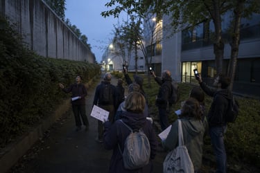 An image of people on a biodiversity bat walk in a corporate business park