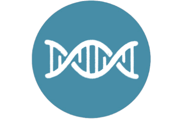 DNA helix icon symbolizing the connection of two faces in a family history.