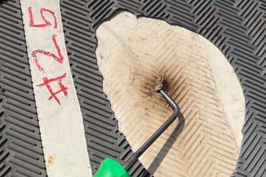 concealed a severe puncture through both the walk pad and the primary membrane