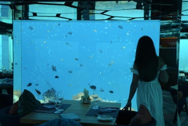 anantara kihavah sea underwater restaurant