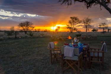 Four Seasons Serengeti Tanzania private bush dinner