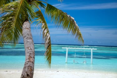 LUX South Ari Atoll Maldives swing