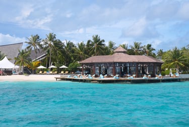 ozen-reserve-bolifushi-maldives-bar