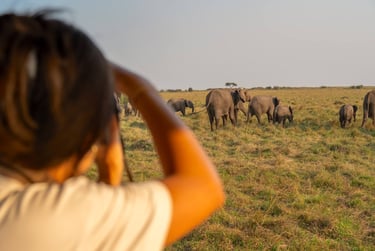 Salas Camp, Kenya - elephants