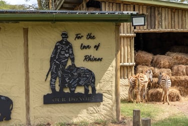 Solio Lodge Kenya rhino orphanage