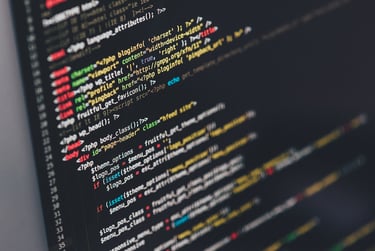 Custom software development services for business