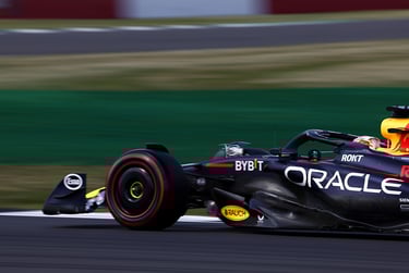 Maxas Verstappenas Red Bull Formulė-1