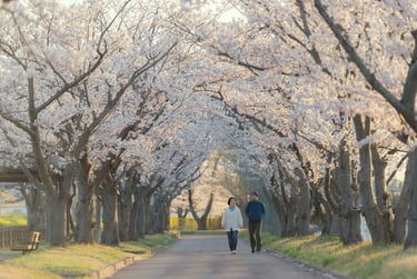 promenade dans un parc