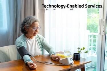 Technology enabled services in healthcare or education