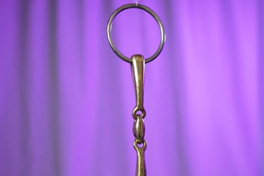 bit snaffle