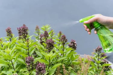 Pesticides naturels